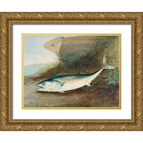 Mackerel Gold Ornate Wood Framed Art Print with Double Matting by Kilbourne, Samuel