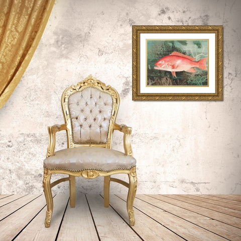 Northern Red SnapperÂ  Gold Ornate Wood Framed Art Print with Double Matting by Kilbourne, Samuel