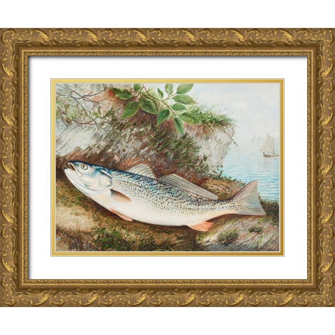 The Weakfish Gold Ornate Wood Framed Art Print with Double Matting by Kilbourne, Samuel
