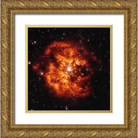 Sagittarius Gold Ornate Wood Framed Art Print with Double Matting by NASA