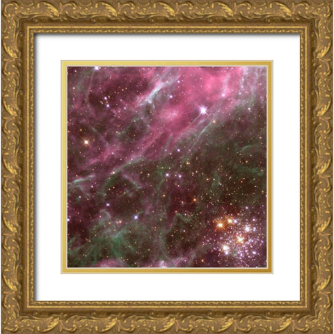 Tarantula Nebula Gold Ornate Wood Framed Art Print with Double Matting by NASA