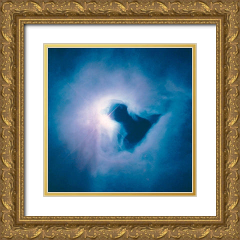 The Reflection Nebula in Orion Gold Ornate Wood Framed Art Print with Double Matting by NASA