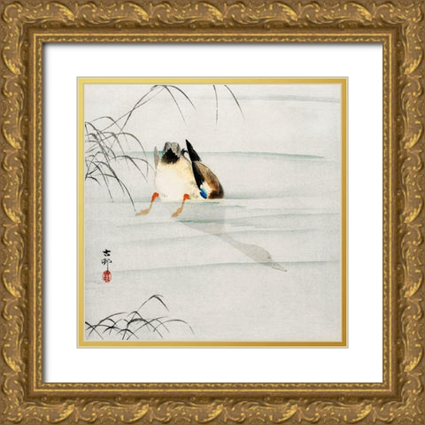 Mallard, the head under water Gold Ornate Wood Framed Art Print with Double Matting by Koson, Ohara