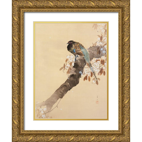 Pheasant on cherry blossom branch Gold Ornate Wood Framed Art Print with Double Matting by Koson, Ohara