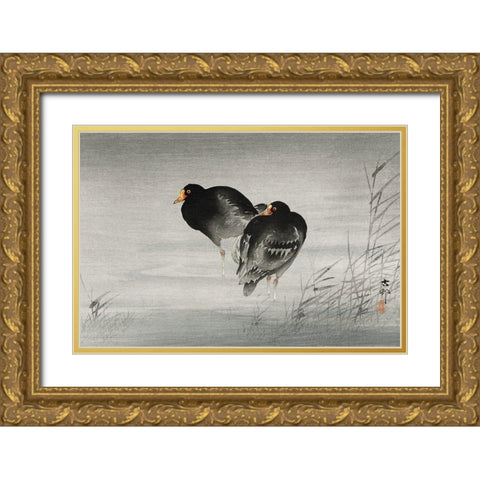 Two moorhens Gold Ornate Wood Framed Art Print with Double Matting by Koson, Ohara