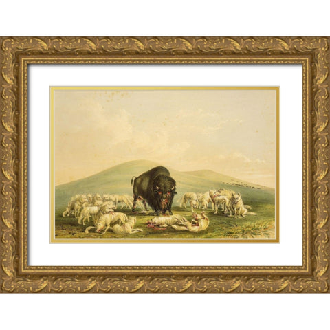 Buffalo Hunt, White Wolves Attacking Buffalo Bull Gold Ornate Wood Framed Art Print with Double Matting by Catlin, George