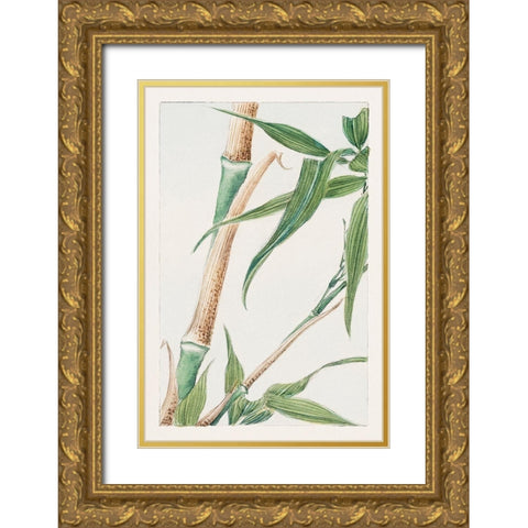 Japanese Bamboo Gold Ornate Wood Framed Art Print with Double Matting by Morikaga, Megata