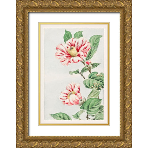 Tsubaki camelia Gold Ornate Wood Framed Art Print with Double Matting by Morikaga, Megata