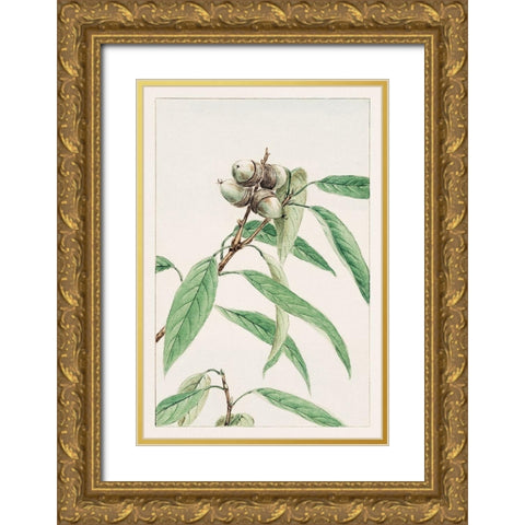 Kashi Gold Ornate Wood Framed Art Print with Double Matting by Morikaga, Megata