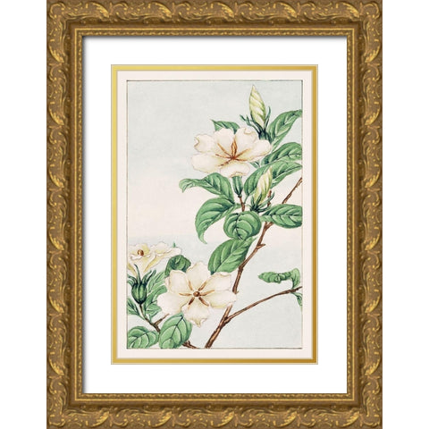 Kuchi nashi or cape jasmine Gold Ornate Wood Framed Art Print with Double Matting by Morikaga, Megata