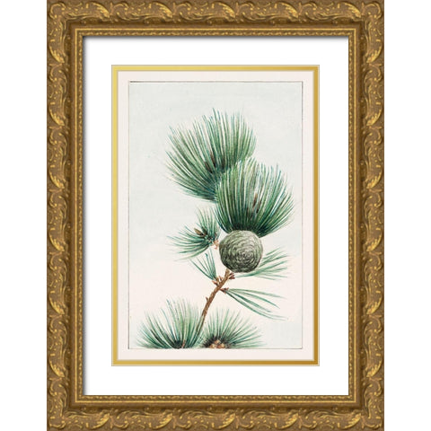 Gayo matsu pine Gold Ornate Wood Framed Art Print with Double Matting by Morikaga, Megata