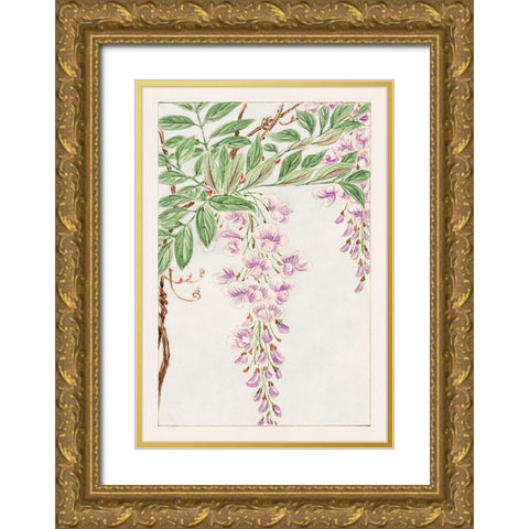 Wisteria vine with leaves and blossoms Gold Ornate Wood Framed Art Print with Double Matting by Morikaga, Megata