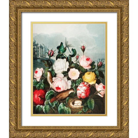 Roses from The Temple of Flora Gold Ornate Wood Framed Art Print with Double Matting by Thornton, Robert John