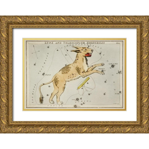 Astronomical chart illustration of Lynx and the Telescopium Herschilii Gold Ornate Wood Framed Art Print with Double Matting by Hall, Sidney