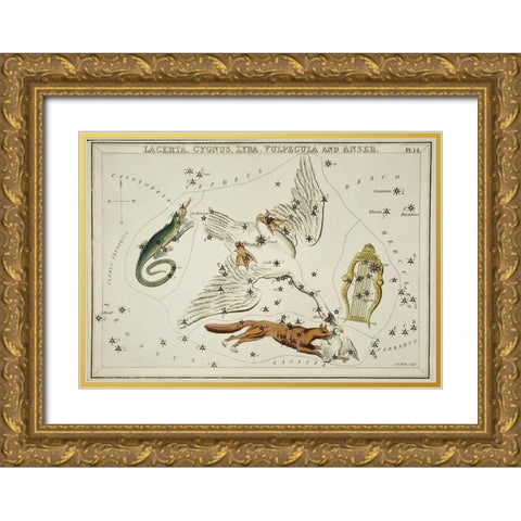 Astronomical chart illustration of the Lacerta-Cygnus-Lyra-Vulpecula and the Anser Gold Ornate Wood Framed Art Print with Double Matting by Hall, Sidney