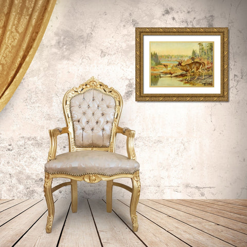Deer in Adirondacks Gold Ornate Wood Framed Art Print with Double Matting by Rungius, Carl