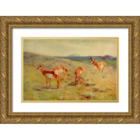 Pronghorns Gold Ornate Wood Framed Art Print with Double Matting by Rungius, Carl