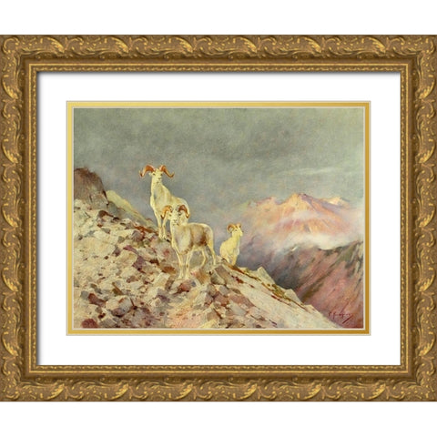 Rams Gold Ornate Wood Framed Art Print with Double Matting by Rungius, Carl