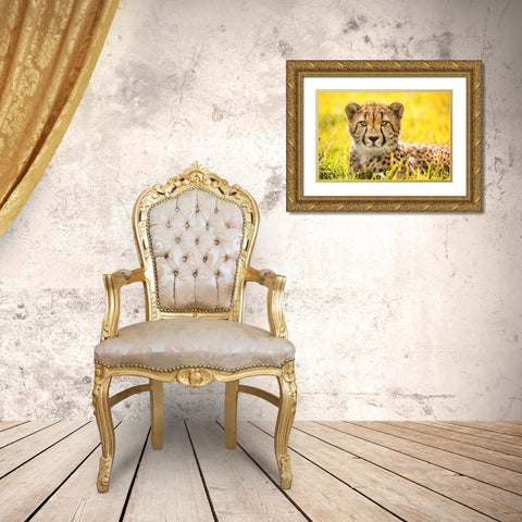 Cheetah Gold Ornate Wood Framed Art Print with Double Matting by Animal Photography