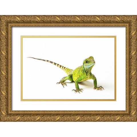 Asian Water Dragon Gold Ornate Wood Framed Art Print with Double Matting by Brown, Skip