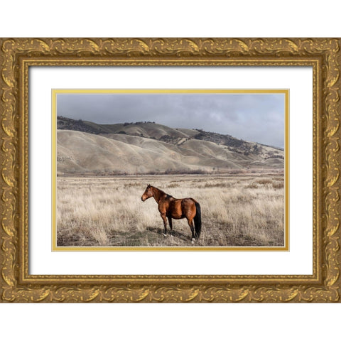 Interstate 5 near Californias Fort Tejon State Park Gold Ornate Wood Framed Art Print with Double Matting by Highsmith, Carol