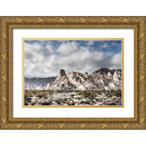 Providence Mountains Mojave National Preserve California Gold Ornate Wood Framed Art Print with Double Matting by Highsmith, Carol