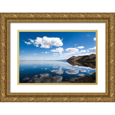 Tule Lake Refuge-California Gold Ornate Wood Framed Art Print with Double Matting by Highsmith, Carol