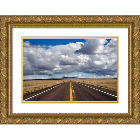 Huge Cumulus Clouds at Round Valley-Springerville-White Mountains-Arizona Gold Ornate Wood Framed Art Print with Double Matting by Highsmith, Carol