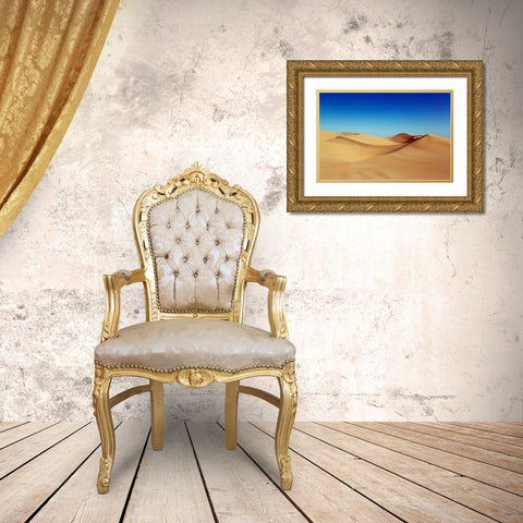 The Imperial Sand Dunes of Southern California Gold Ornate Wood Framed Art Print with Double Matting by Highsmith, Carol