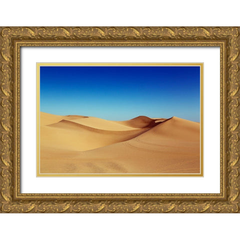 The Imperial Sand Dunes of Southern California Gold Ornate Wood Framed Art Print with Double Matting by Highsmith, Carol