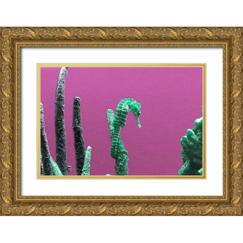 Seahorse at The Monterey Bay Aquarium in Monterey-California Gold Ornate Wood Framed Art Print with Double Matting by Highsmith, Carol