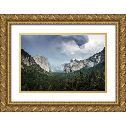 Yosemite National Park-California Gold Ornate Wood Framed Art Print with Double Matting by Highsmith, Carol