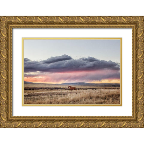 Sunset at Big Creek Cattle Ranch near Riverside in Carbon County-Wyoming Gold Ornate Wood Framed Art Print with Double Matting by Highsmith, Carol