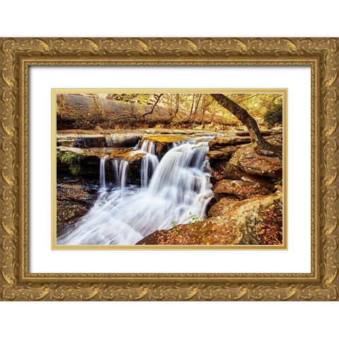 Dunloup Falls Thurmond-Fayette County-West Virginia Gold Ornate Wood Framed Art Print with Double Matting by Highsmith, Carol
