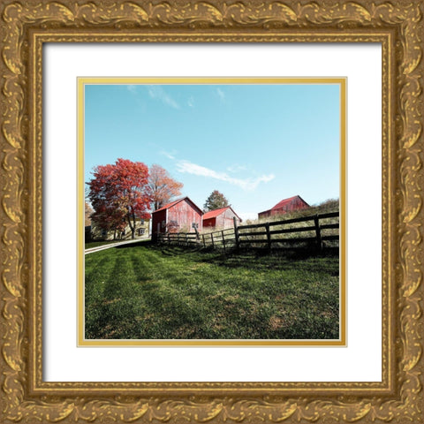 Grouping of small barns in Monroe County Gold Ornate Wood Framed Art Print with Double Matting by Highsmith, Carol
