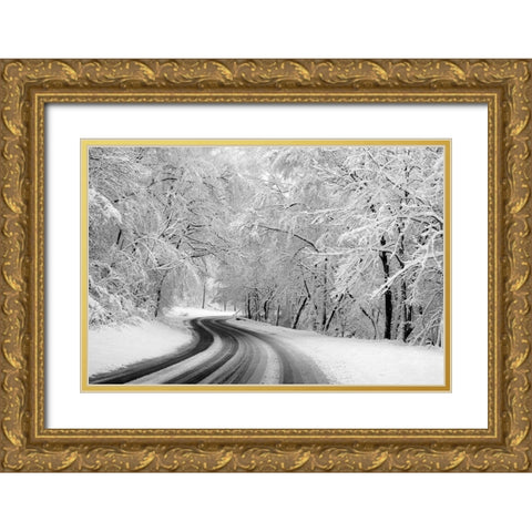 Rock Creek Park-Washington-D.C. Gold Ornate Wood Framed Art Print with Double Matting by Highsmith, Carol