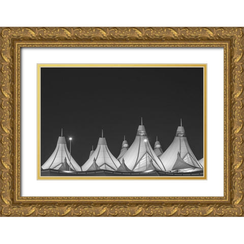 Denver International Airport-Denver-Colorado Gold Ornate Wood Framed Art Print with Double Matting by Highsmith, Carol
