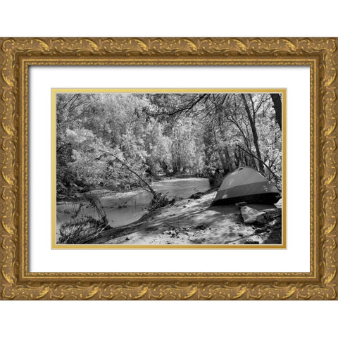 Havasu Creek Campground-Grand Canyon National Park Gold Ornate Wood Framed Art Print with Double Matting by Highsmith, Carol