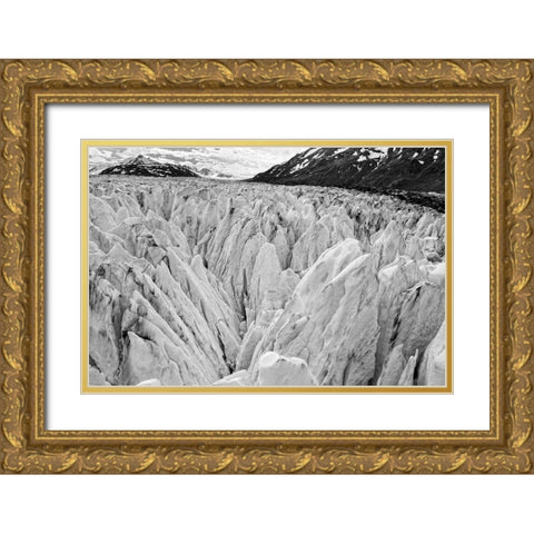 Prince William Sound-Gulf of Alaska Gold Ornate Wood Framed Art Print with Double Matting by Highsmith, Carol