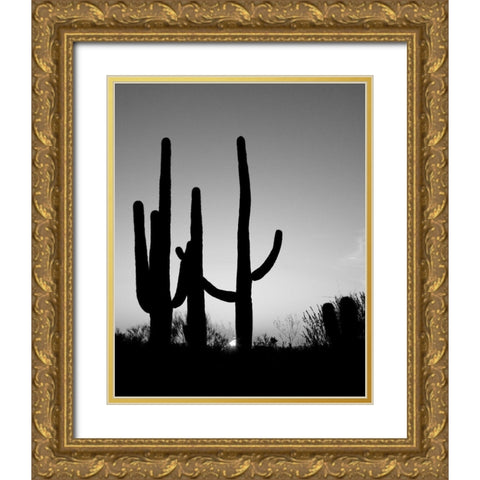 Saguaro Cactus near Tucson-Arizona Gold Ornate Wood Framed Art Print with Double Matting by Highsmith, Carol