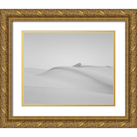 Sand dunes in Southern California Gold Ornate Wood Framed Art Print with Double Matting by Highsmith, Carol