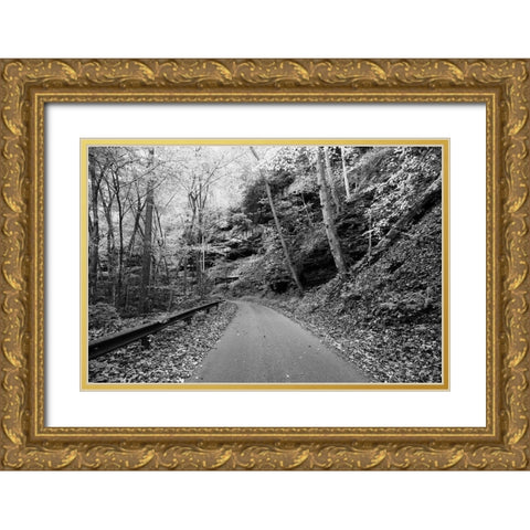 Picturesque road to Nuttallburg Gold Ornate Wood Framed Art Print with Double Matting by Highsmith, Carol
