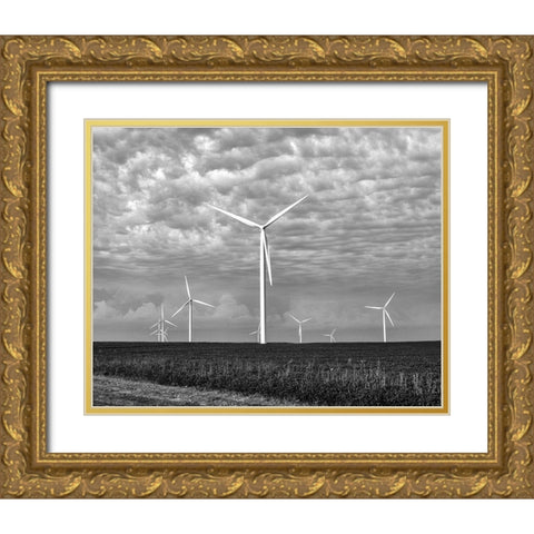 Wind farms-American prairie farms-Iowa Gold Ornate Wood Framed Art Print with Double Matting by Highsmith, Carol