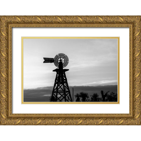 Silhouetted windmill in Texas Gold Ornate Wood Framed Art Print with Double Matting by Highsmith, Carol