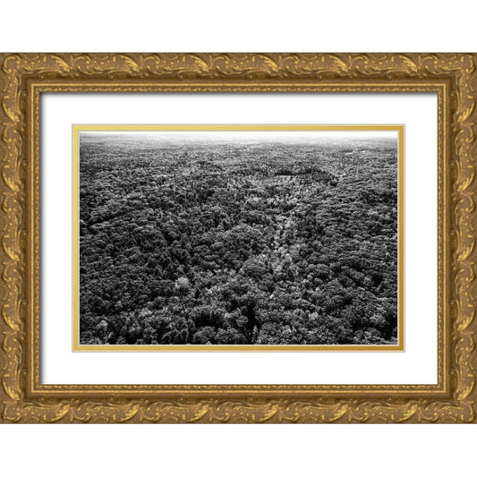Perspective Image