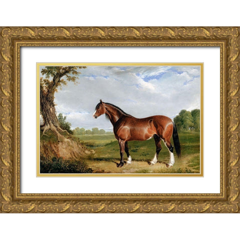 A Clydesdale Stallion Gold Ornate Wood Framed Art Print with Double Matting by Herring, John Frederick