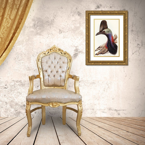 Australian Cassowary-Casuarius australis Gold Ornate Wood Framed Art Print with Double Matting by Gould, John