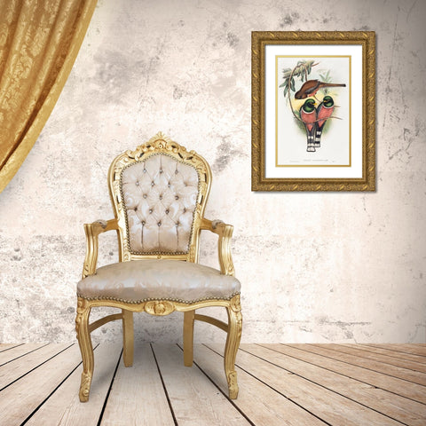 Trogan personatus Gold Ornate Wood Framed Art Print with Double Matting by Gould, John
