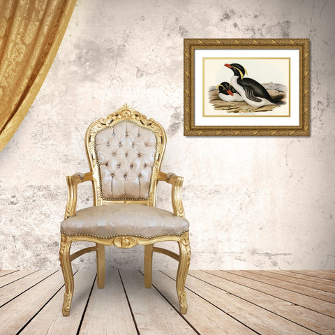 Crested Penguin-Eudyptes chrysocome Gold Ornate Wood Framed Art Print with Double Matting by Gould, John