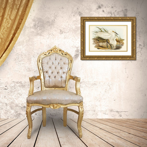 Spotless Egret-Herodias immaculata Gold Ornate Wood Framed Art Print with Double Matting by Gould, John